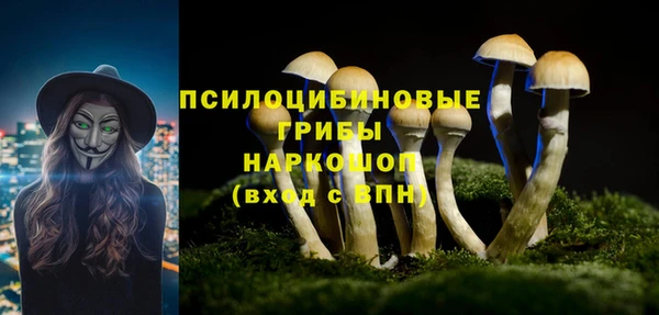 синтетический гашиш Медногорск