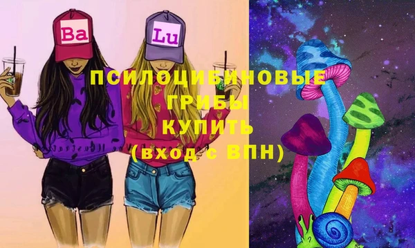 крисы Магас