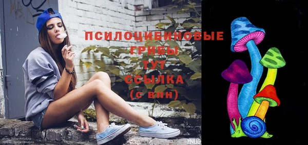 мдпв Майский