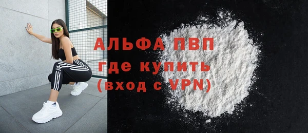 крисы Магас