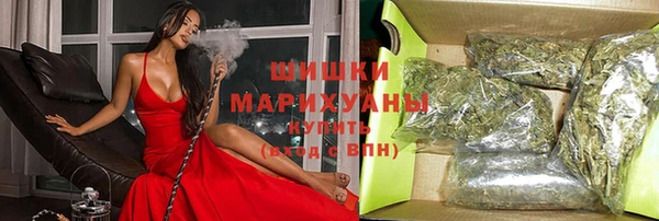 мдпв Майский