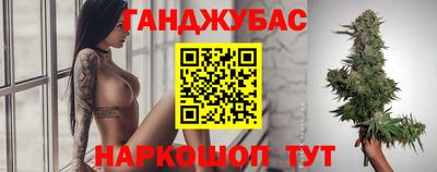гашик Гатчина