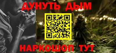 гашик Гатчина