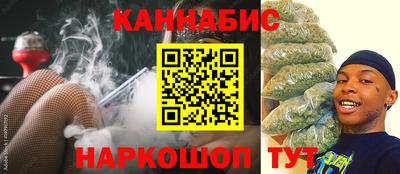 гашик Гатчина