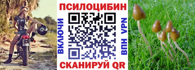 магазин    Дубна  Галлюциногенные грибы Magic Shrooms 