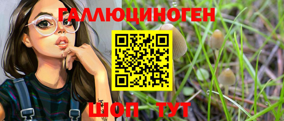 Псилоцибиновые грибы Psilocybe  Галлюциногенные грибы Magic Shrooms  Вход с VPN  Дубна 