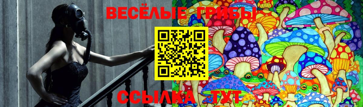 Псилоцибиновые грибы Psilocybe  Галлюциногенные грибы ЛСД  Дубна 