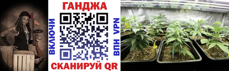 Марихуана планчик  Дубна 